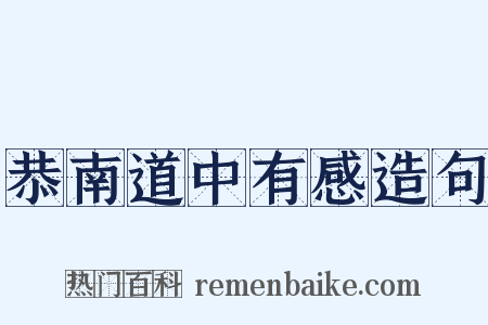 恭南道中有感造句是什么意思的图片